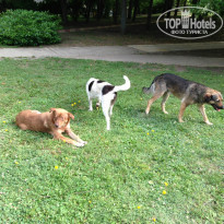 фото из отзыва ID 752078