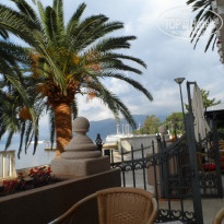 фото из отзыва ID 752193