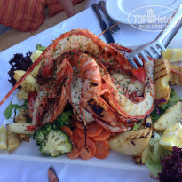 фото из отзыва ID 752350