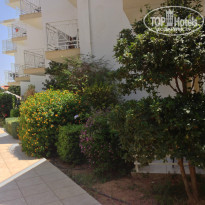 фото из отзыва ID 752350