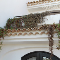 фото из отзыва ID 752783