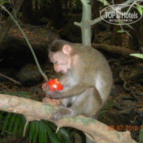 фото из отзыва ID 752823