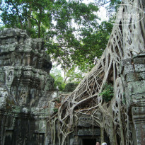 фото из отзыва ID 752950