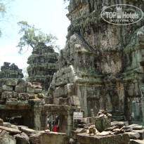 фото из отзыва ID 752950