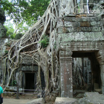 фото из отзыва ID 752950