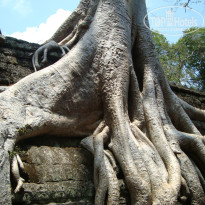 фото из отзыва ID 752950