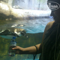 фото из отзыва ID 753447