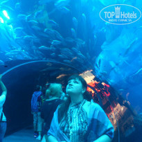 фото из отзыва ID 753447