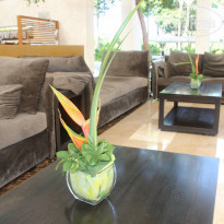 фото из отзыва ID 753530