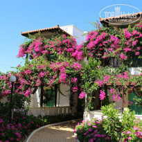 фото из отзыва ID 753711