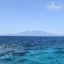 фото из отзыва ID 753903