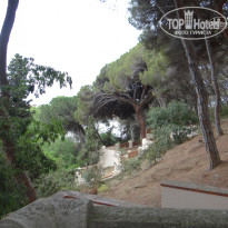 фото из отзыва ID 753211