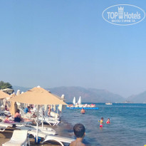 фото из отзыва ID 753223