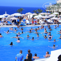 фото из отзыва ID 754286