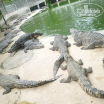 фото из отзыва ID 754394