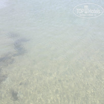 фото из отзыва ID 754442