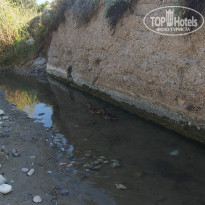 фото из отзыва ID 754619