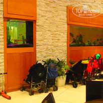 фото из отзыва ID 754619