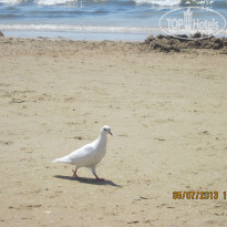 фото из отзыва ID 754980