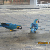 фото из отзыва ID 754980