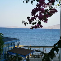 фото из отзыва ID 754995