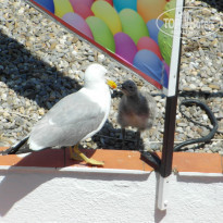 фото из отзыва ID 755123