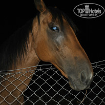 фото из отзыва ID 755291