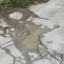 фото из отзыва ID 755261