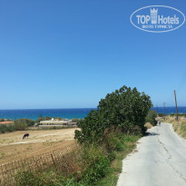 фото из отзыва ID 755261