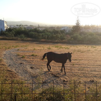 фото из отзыва ID 755261