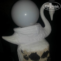 фото из отзыва ID 755409