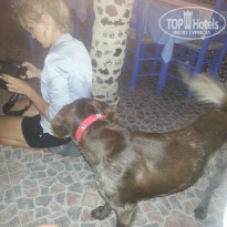 фото из отзыва ID 755409