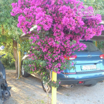 фото из отзыва ID 755658