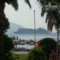 фото из отзыва ID 755693