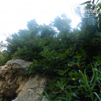 фото из отзыва ID 755022