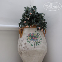 фото из отзыва ID 756218