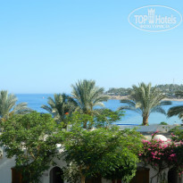 фото из отзыва ID 756318