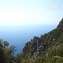 фото из отзыва ID 756368