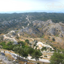 фото из отзыва ID 756368