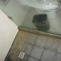 фото из отзыва ID 756493