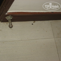 фото из отзыва ID 756493