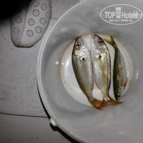 фото из отзыва ID 756540