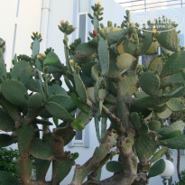 фото из отзыва ID 756556