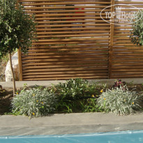 фото из отзыва ID 756556