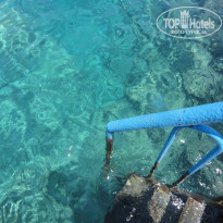 фото из отзыва ID 756639