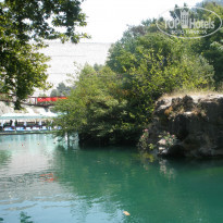 фото из отзыва ID 756862