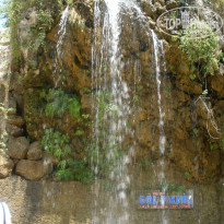 фото из отзыва ID 756862