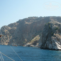 фото из отзыва ID 756862