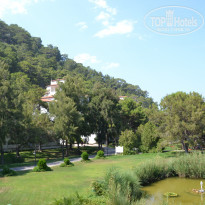 фото из отзыва ID 756772