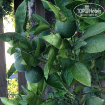 фото из отзыва ID 756038